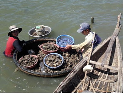 Health risk due to food contamination induced by urban flood - PhD student: Nguyen Thanh Gia