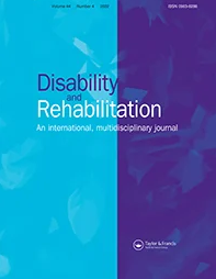 “Nothing suitable for us”: experiences of women with physical disabilities in accessing maternal healthcare services in Northern Vietnam