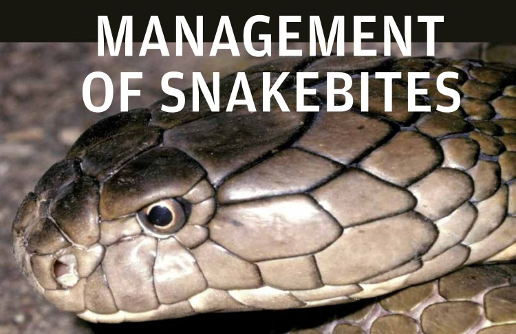 The Research Project "Epidemiology of Snakebites in Can Tho City" in 2018